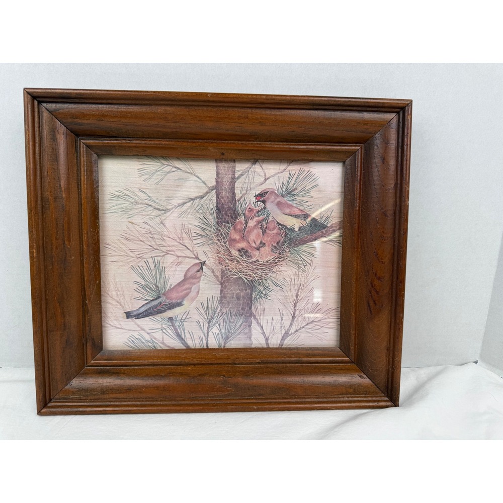 Vintage Cedar Waxwing Bird Nest Framed Print Wood Frame Nature Wall Decor